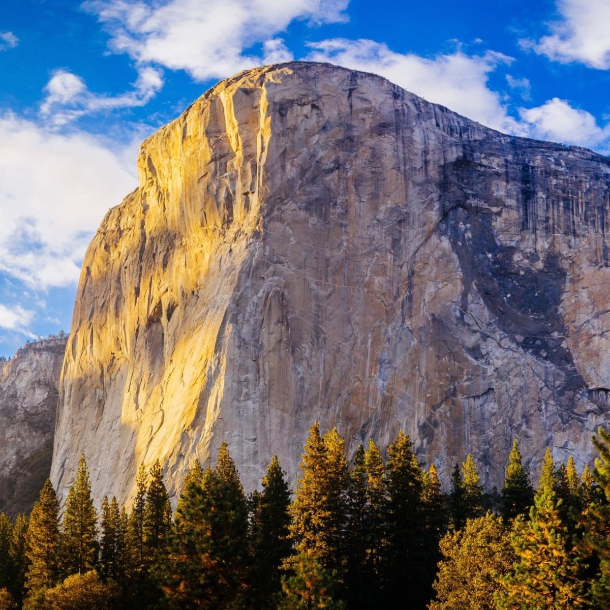Yosemite 2 Day Tour – Tent Cabin Stay Image 3 a canyon with El Capitan in the background