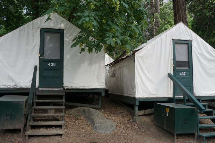 a tent in a yard