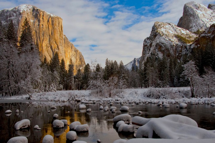 a herd of sheep standing on top of a snow covered mountain