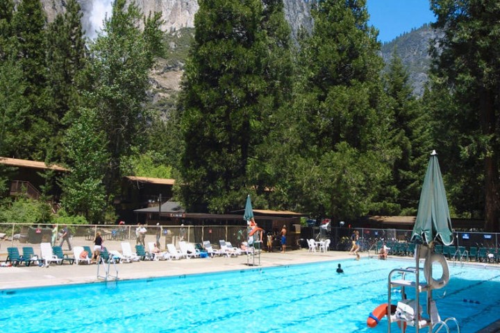 a group of people swimming in a pool of water