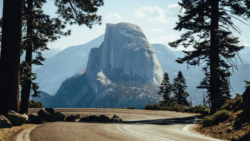 Yosemite 4 Day Tour – Cedar Lodge Stay Image 3 a tree with a mountain in the background
