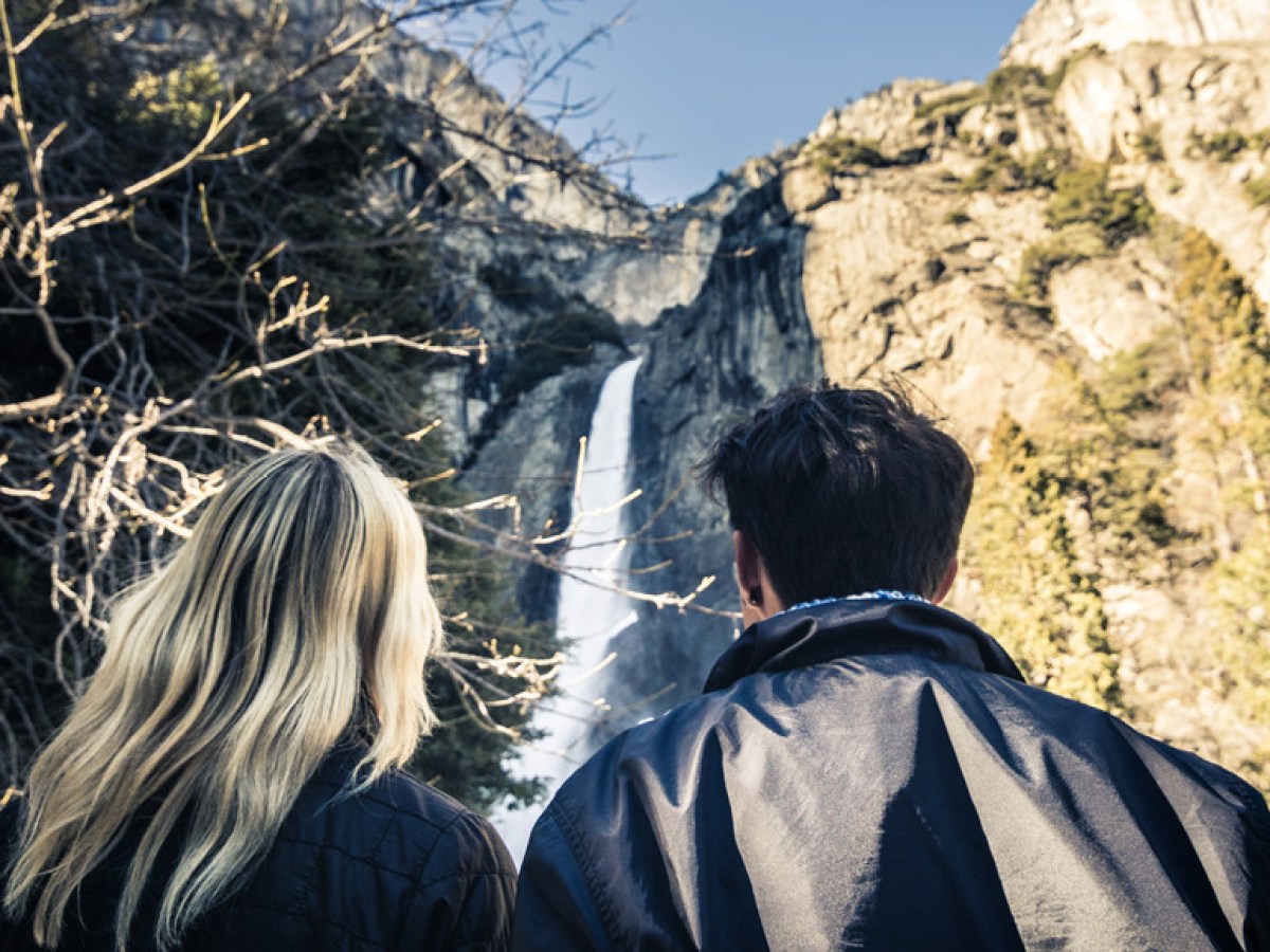 a person standing in front of a forest