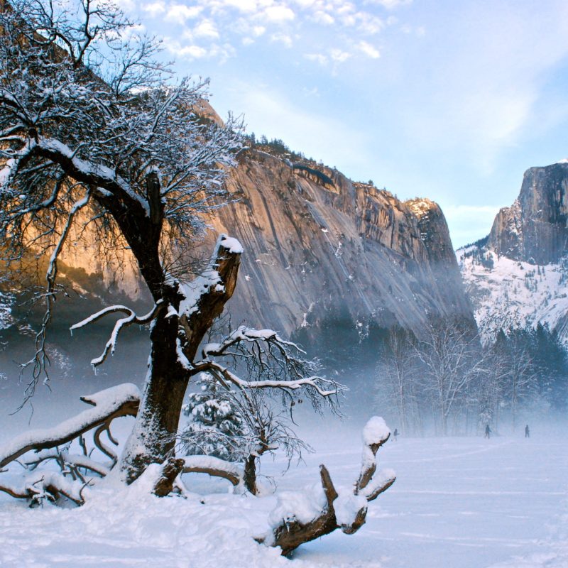 a flock of birds standing on top of a snow covered mountain