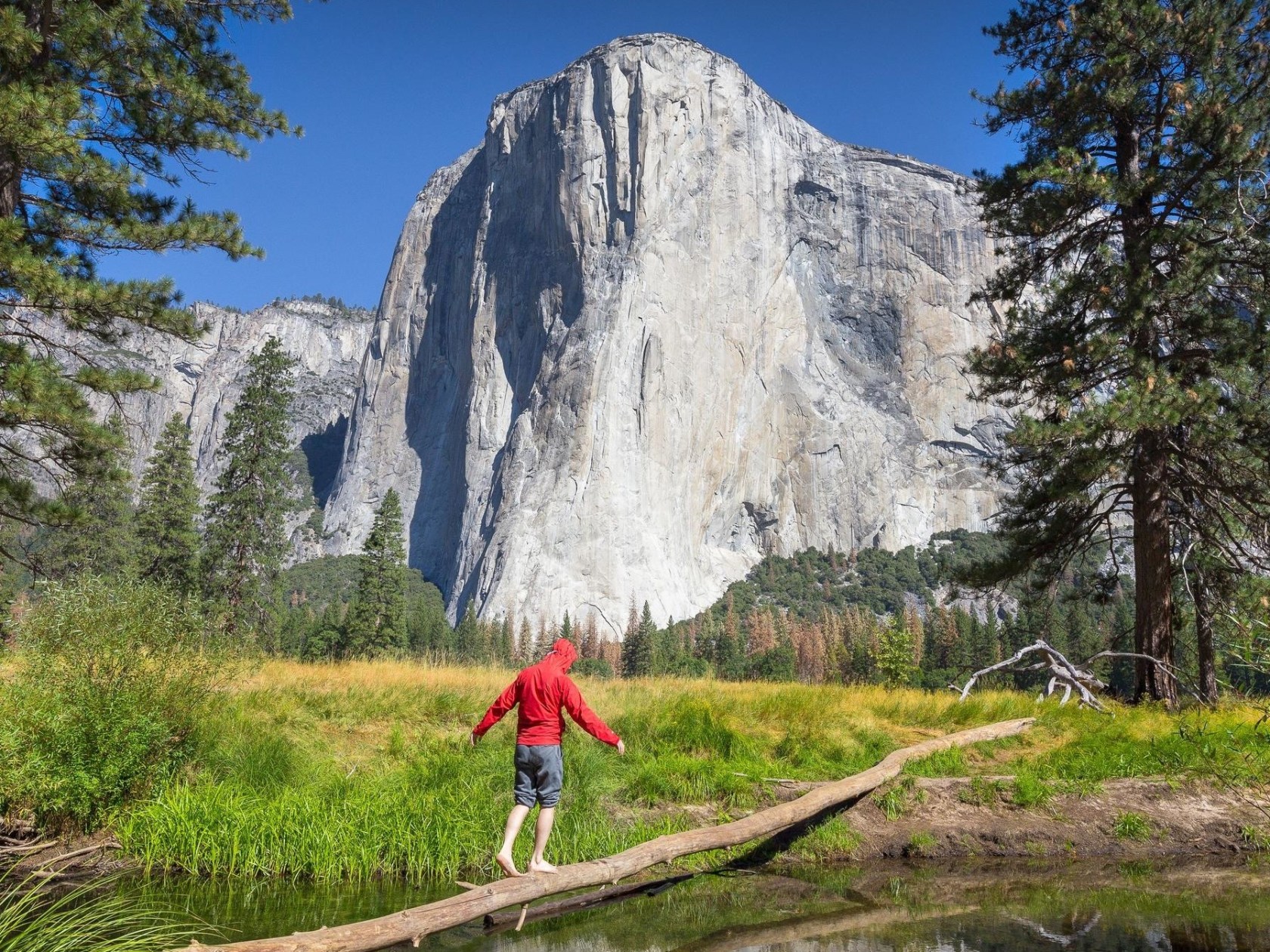 a person flying a kite