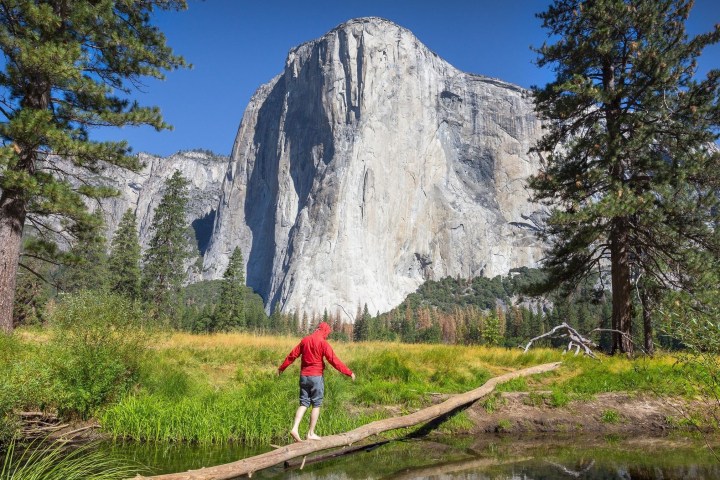 a person flying a kite
