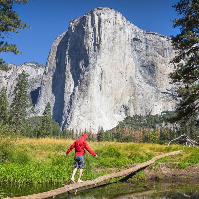 a person flying a kite