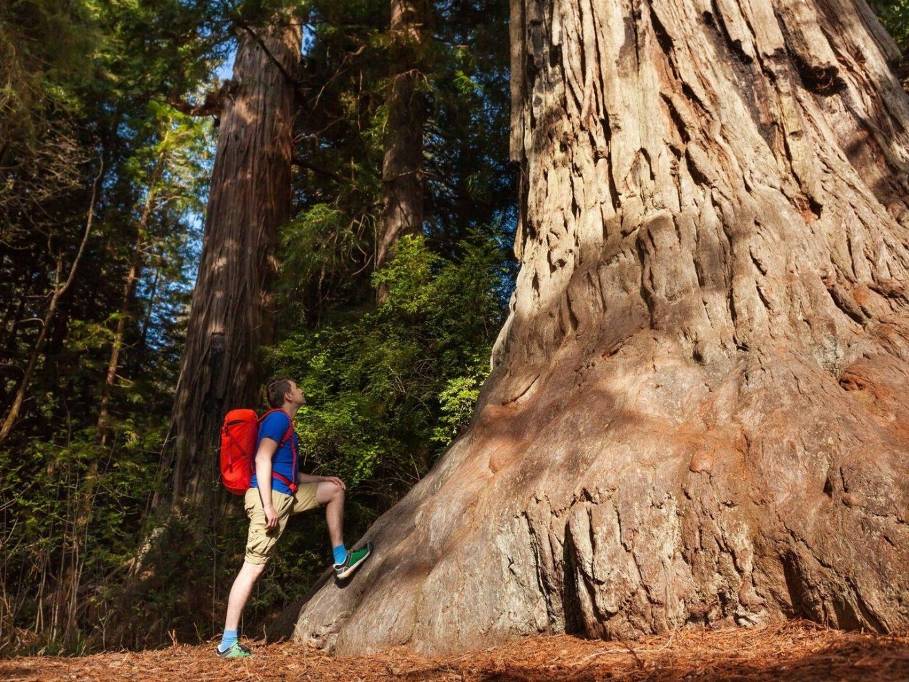 a man standing next to a tree