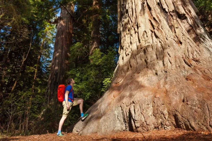 a man standing next to a tree