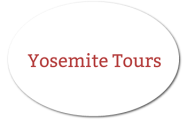 Yosemite Tours