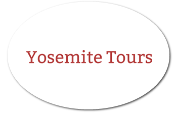 Yosemite Tours