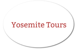 Yosemite Tours