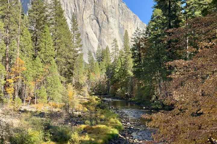 River flowing through forest with large rock formation in the background.